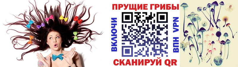 Галлюциногенные грибы GOLDEN TEACHER  Алагир 